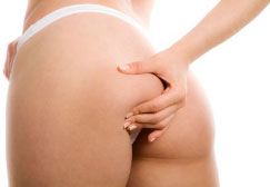 Tessuto Adiposo Bianco Cellulite