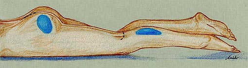 Implant of buttock and calf prosthesis.